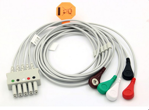 ݵ¶໤ĵ嵼ʽ ๦ܵ